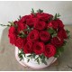 30 Rosas Romances